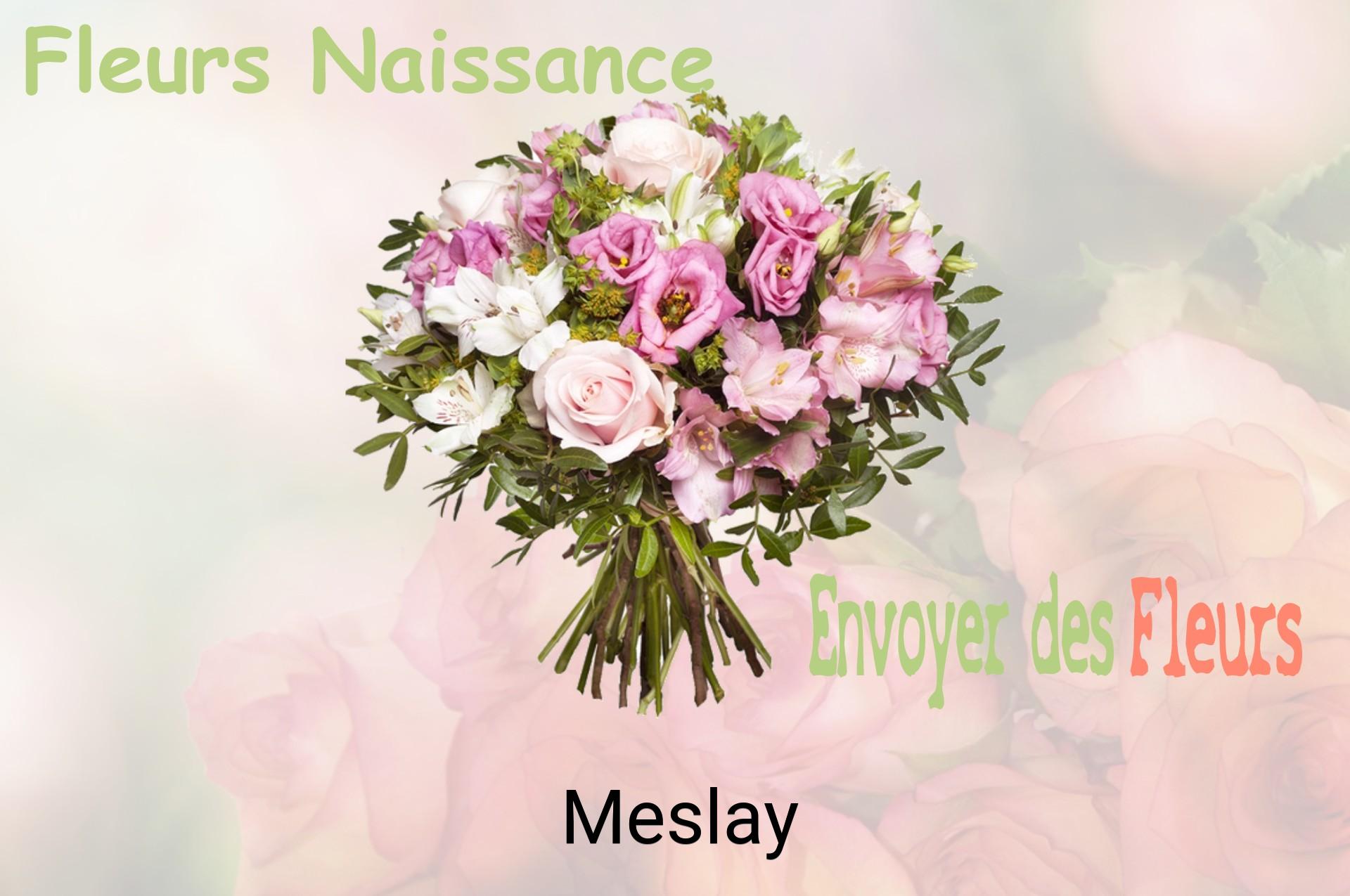 Bouquet de fleurs de naissance livré à Meslay