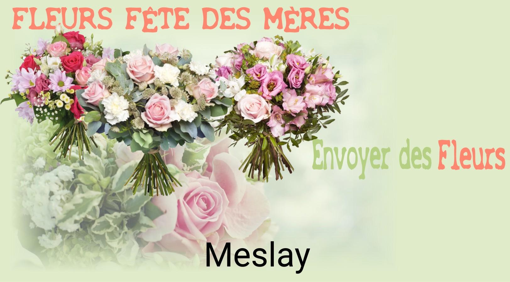 Bouquet de Fête des Mères livré à Meslay